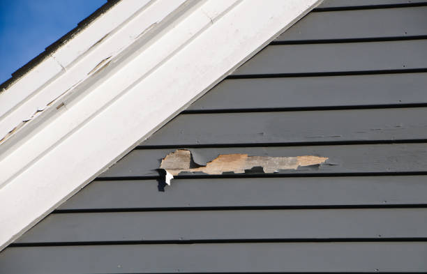 Best Siding Repair  in Clay, CA